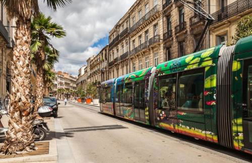 LE PETIT THAI Appart 2 PIECES ZEN CENTRE VILLE - Foto 21