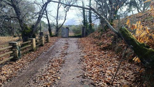 Las Mariquitas - Foto 3