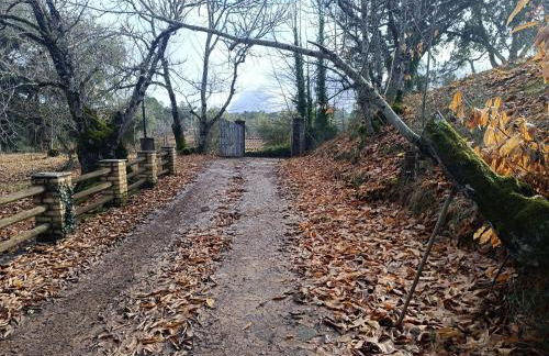 Las Mariquitas - Foto 3