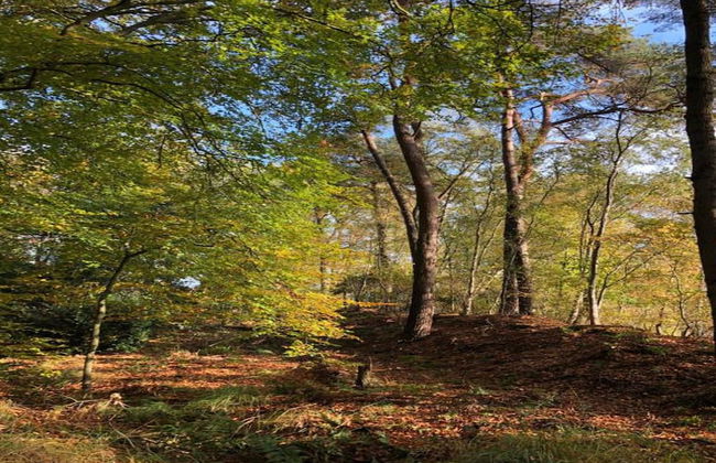 Lakeside Villa Near Sneekermeer - Foto 29