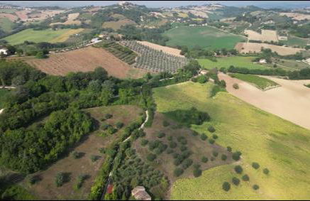 Casale Il Picchio Verde - Foto 36