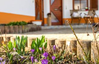 Ferienwohnung Schwarzalb - Foto 34