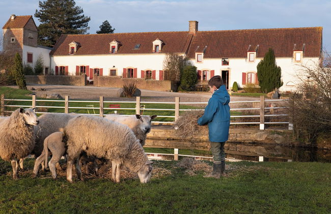 Ecodomaine le Vérin- Gîtes & Spa - Foto 50