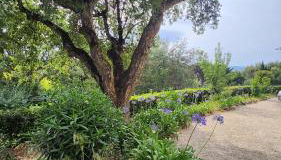 Villa Argonaute - Photo 3, Garden, Garden view