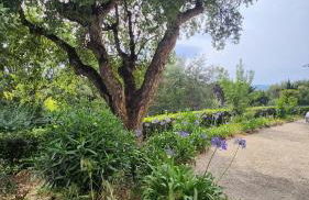 Villa Argonaute - Photo 3