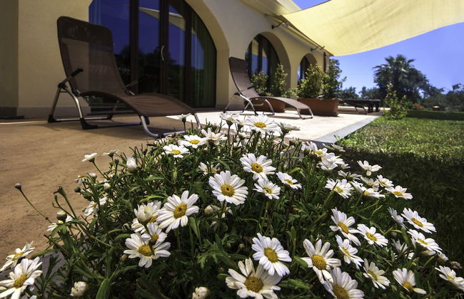 Tenuta Santa Tecla - Foto 35