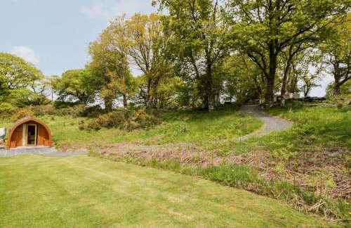 Llugwy Pod - Foto 21