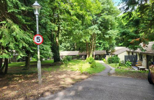 Bumbeldink - Foto 61