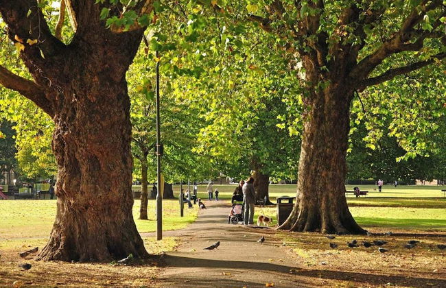 Fulham Broadway 2-bed Apt w/ Garden & Pets Ok - Foto 16