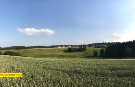 Ferienwohnung "Zwei Birken" - Foto 20