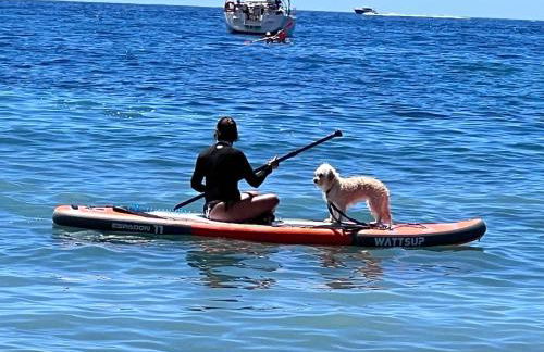 Beach LUXURY - ALTEA Puerto de Campomanes - Photo 49