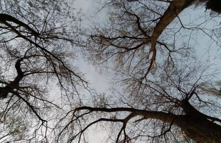 Casa Vacanza Bel Respiro - Foto 27