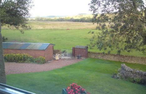 Yellow House - Foto 29