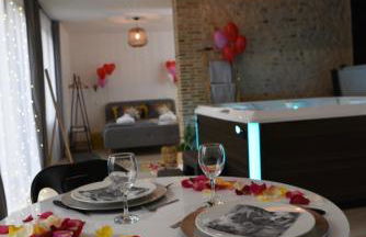 Eaudyssée maison avec SPA privée - Loiret - Photo 18