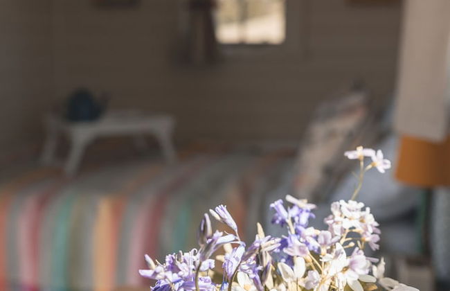 Dog Friendly Shepherd's Hut, Perfect for Couples - Photo 26