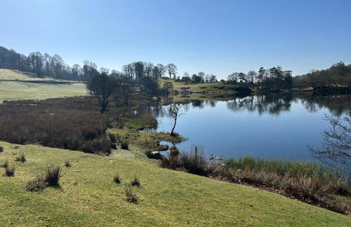 Puddleduck - Foto 30