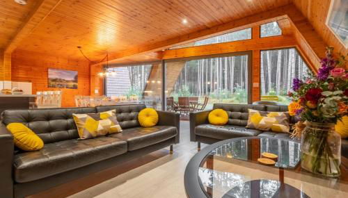 Woodpecker - Photo 2