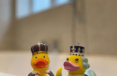 2 Bedroom Basement Apartment in Georgian Townhouse - Photo 8