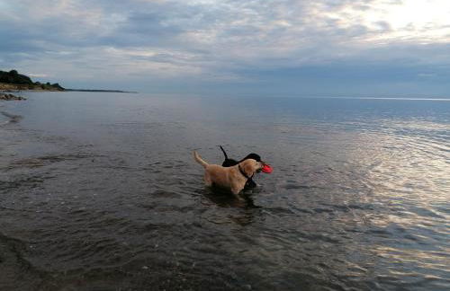 Hof am Meer "Seerose" - Foto 17