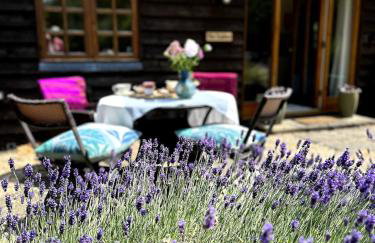 Cottage near Corfe & Jurassic Coast - Foto 47