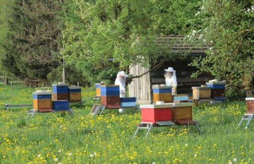 Das kleine Paradies - Foto 29