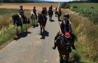 Das schiefe Haus - Wohnung "Altstadt" - Photo 12