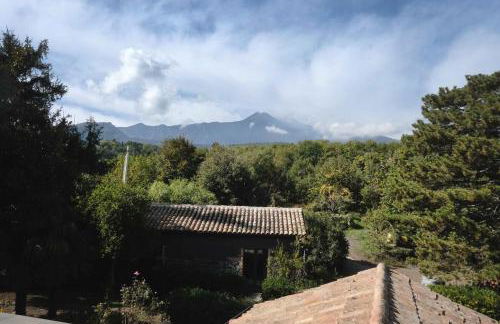 Palmento Milo Agriproduction - Foto 39