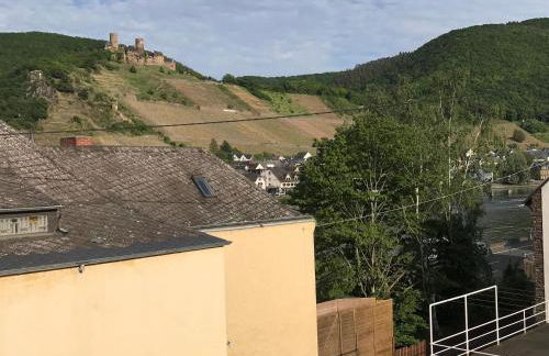 Bio-Ferienweingut Leyendecker - Foto 44