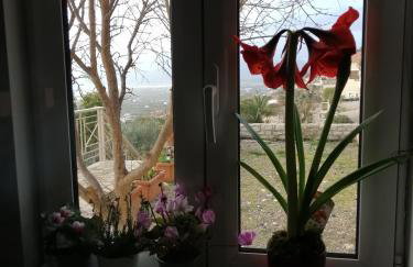 Villa Myrto - Foto 14