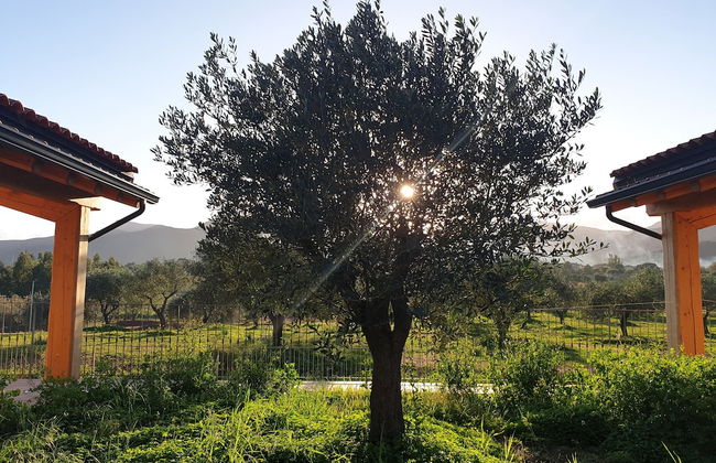 Agriturismo Corte Degli Ulivi - Foto 17