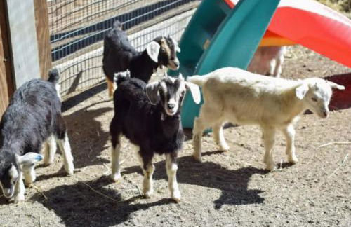 Stay, Play and Pass Go at the Monopoly Penthouse! - Foto 60