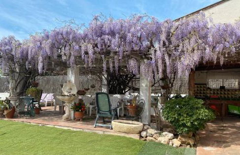 Ca la iaia - Foto 32