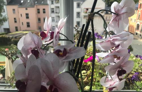 Apartment Enno - Foto 7