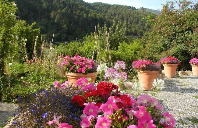 Adorable Tuscan Cottage With Beautiful Garden Just Outside Lucca, Sleeps 2 - Foto 11