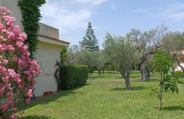 Tra Ulivi E Mare - Foto 16