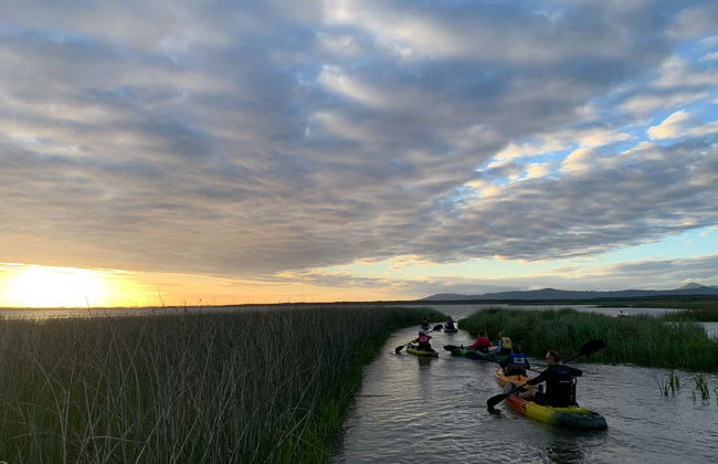 Imbé Wetlands Kayaking Tour - Foto 6