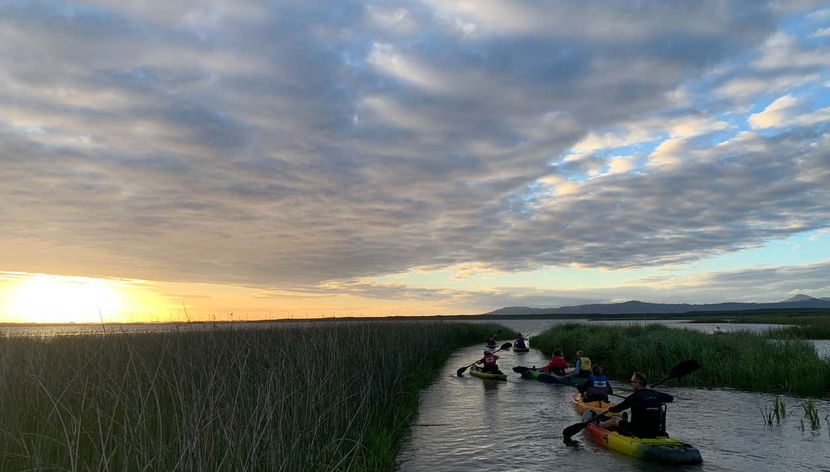 Imbé Wetlands Kayaking Tour - Foto 2