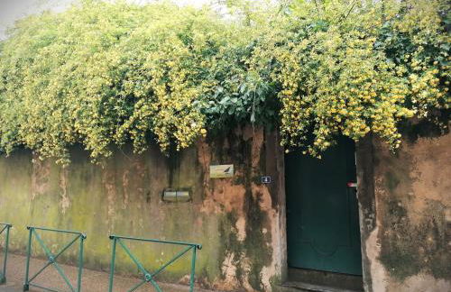 Croassecorbeau Maison de Famille au pied du Ventoux - Foto 54