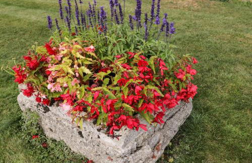 Brindle Cottage - Foto 24