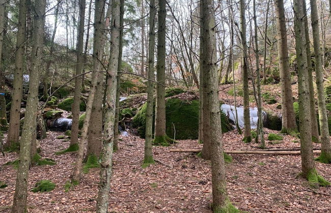 3 Person Holiday Home in Hunnebostrand-by Traum - Foto 13