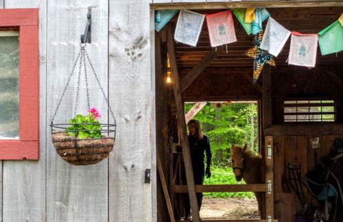 Luxury Yurt Rental Hidden in the Forest near Bristol, Vermont - Foto 22