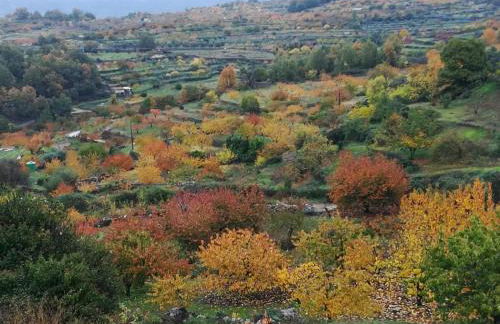 La Lancha del Jerte - Foto 24