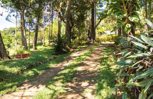 Sitio Primavera Ibiúna - Photo 39