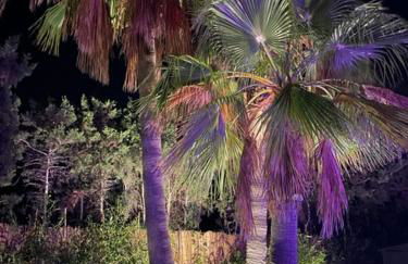 Casa Pinsa - Großzügiges mediterran-stilvolles Ferienhaus mit eigenem Pool in Puig de Ros - Foto 10