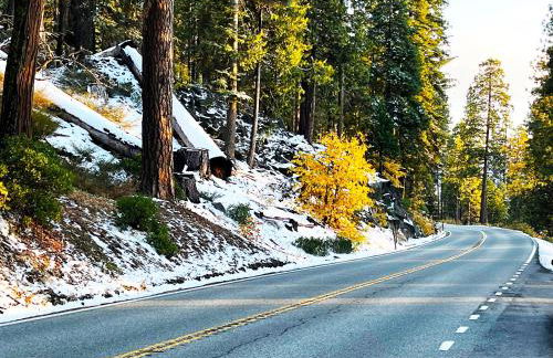 Modern Yosemite Cabin, 15min Bass Lake, Sleeps 8 - Foto 26