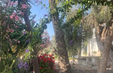 La Casa Del Nonno - Foto 41