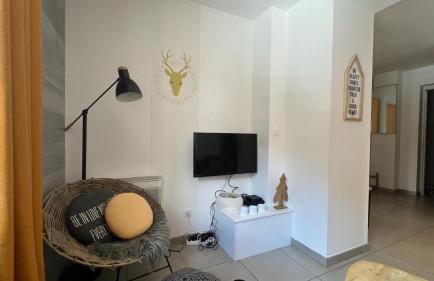 Jaune Génépi - 4 personnes - 49m2 et 17m2 terrasse - Foto 5