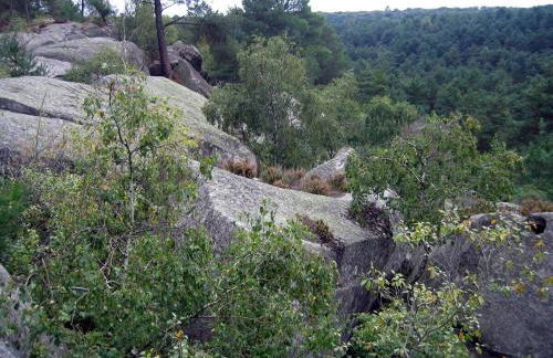 appartement 35 m2 1 à 4 pers - Rickhoss Home - Foto 3