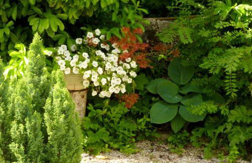 La Casita con piscina privada de tres dormitorios - Photo 69