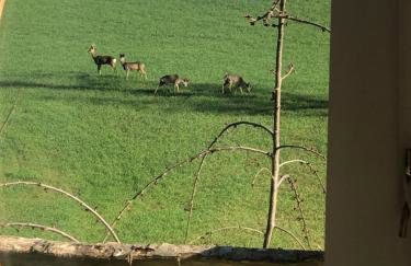 Glastonbury tranquility - Foto 20